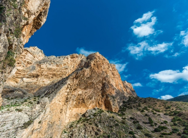 Picos altos
